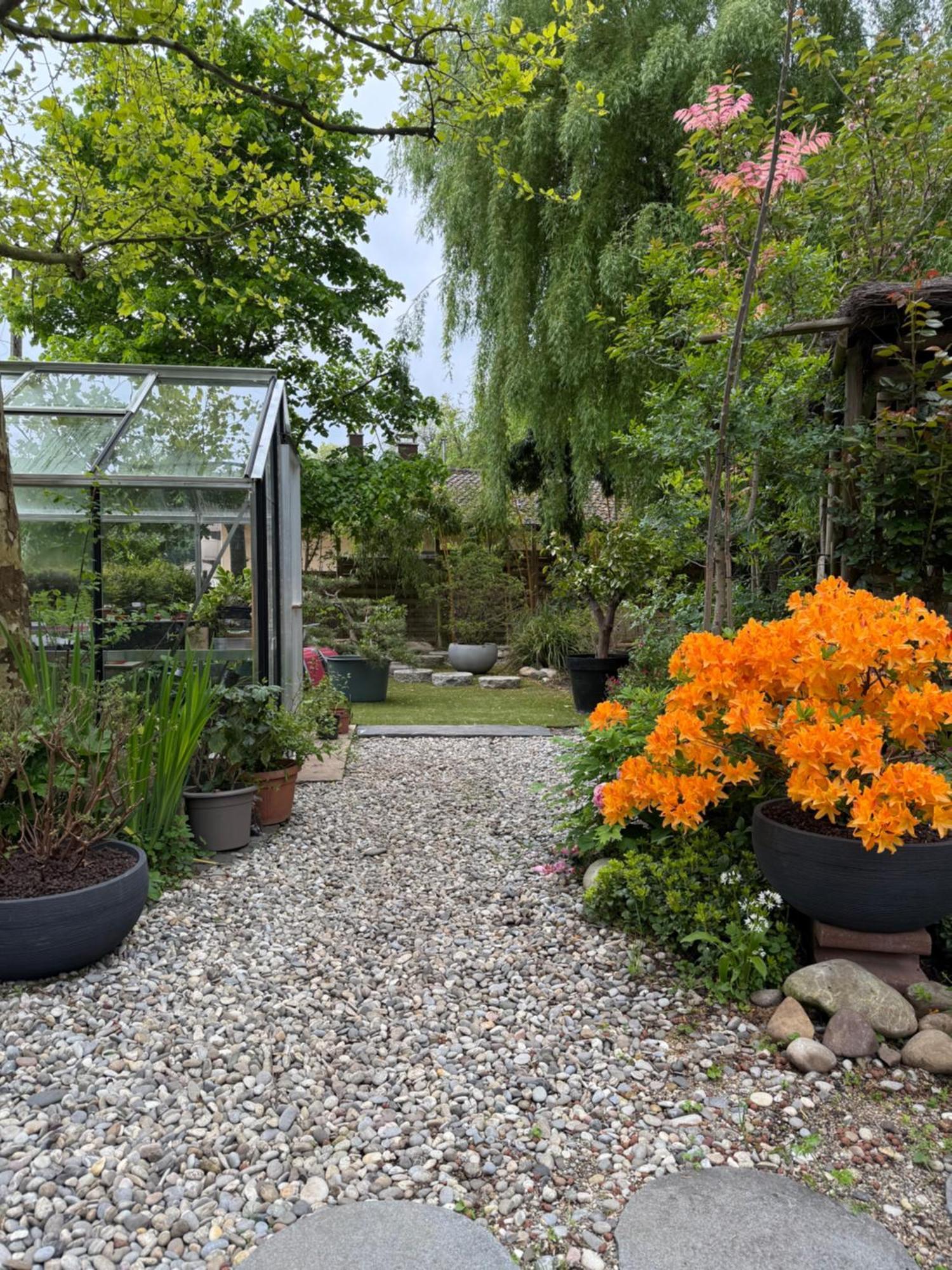 Le Jardin De La Tuilerie Alsace Hotel Pfastatt Eksteriør billede