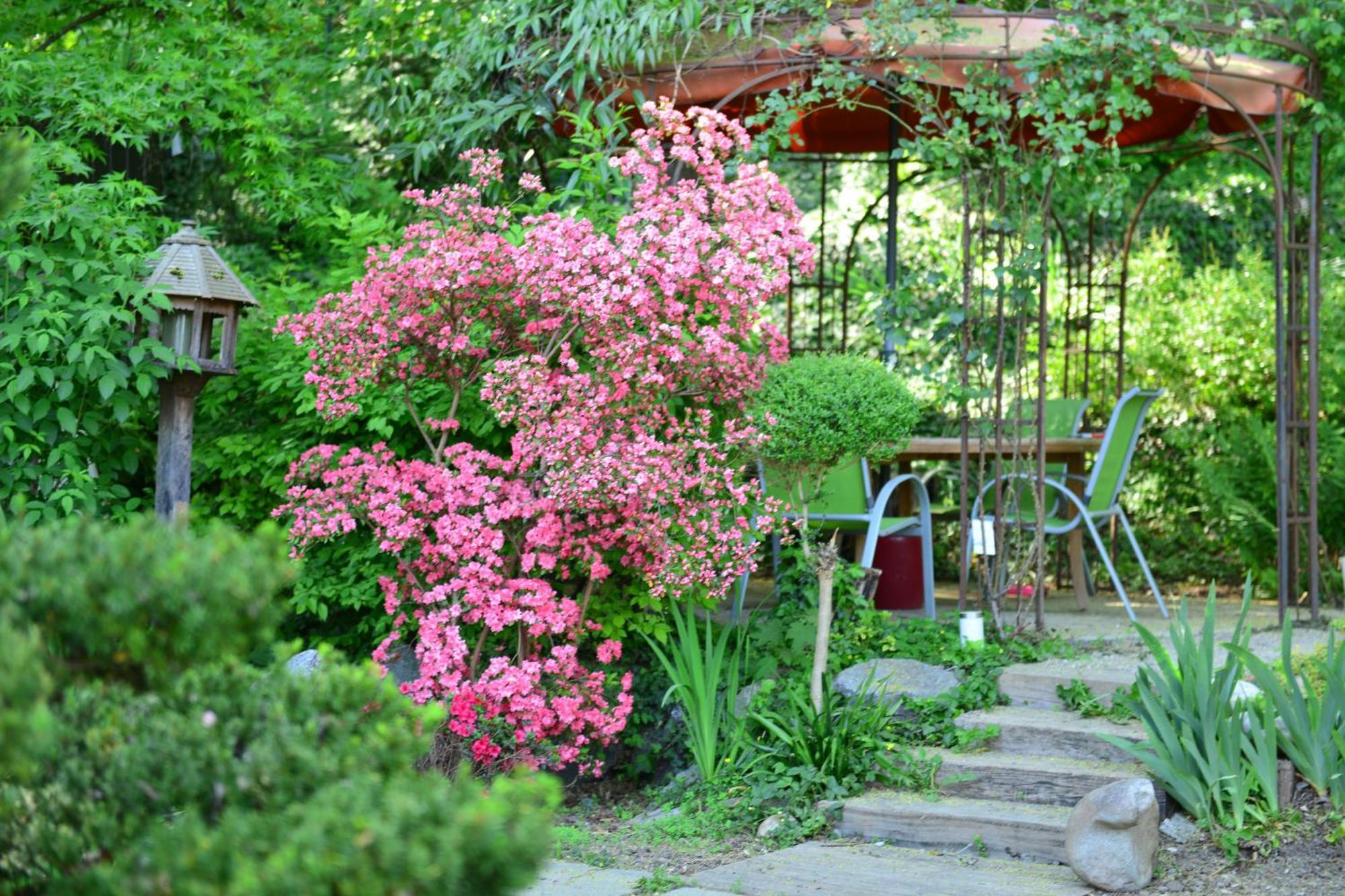 Le Jardin De La Tuilerie Alsace Hotel Pfastatt Eksteriør billede